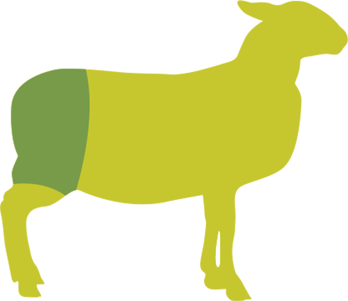 Butcher Lamb Diagram- Rack