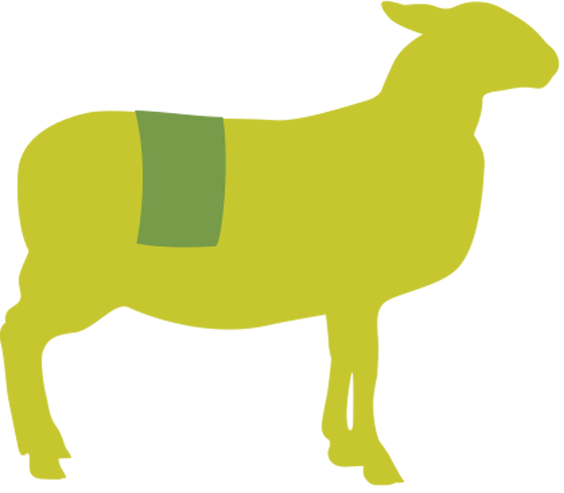 Butcher Lamb Diagram- Rack