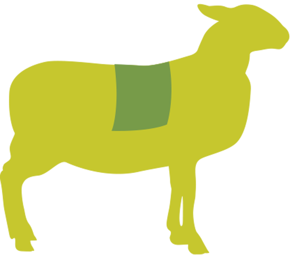 Butcher Lamb Diagram- Rack